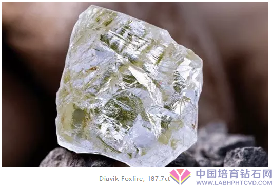 北美地区最大钻石将在非洲展览