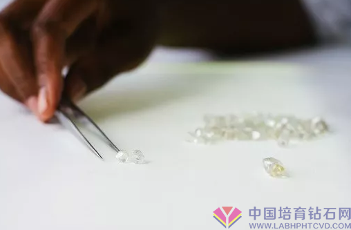 德比尔斯2019市场销售主要表现不佳，欲更改销售方案