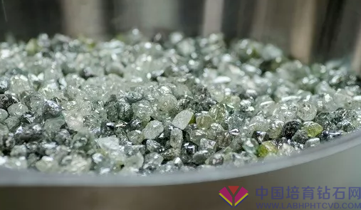 津巴布韦方案提高今年裸钻生产量