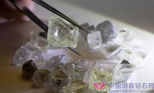 阿罗莎试着欧付款，&ldquo;吃蟹者&rdquo;竟然周生生
