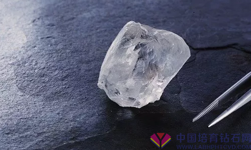 最近振动业内的三枚巨钻