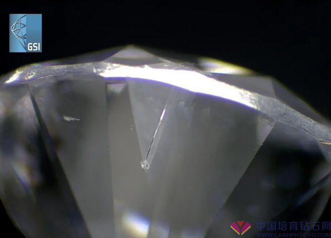 GSI说：不能仅凭包裹物分辨培育钻石！