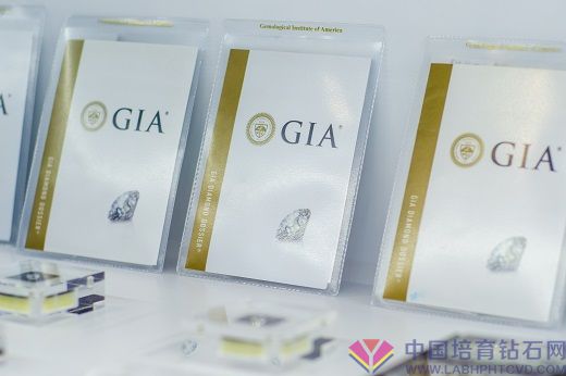 GIA dossiers credit Shutterstock 520