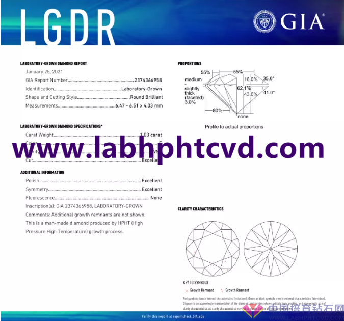 GIA美国宝石协会_副本