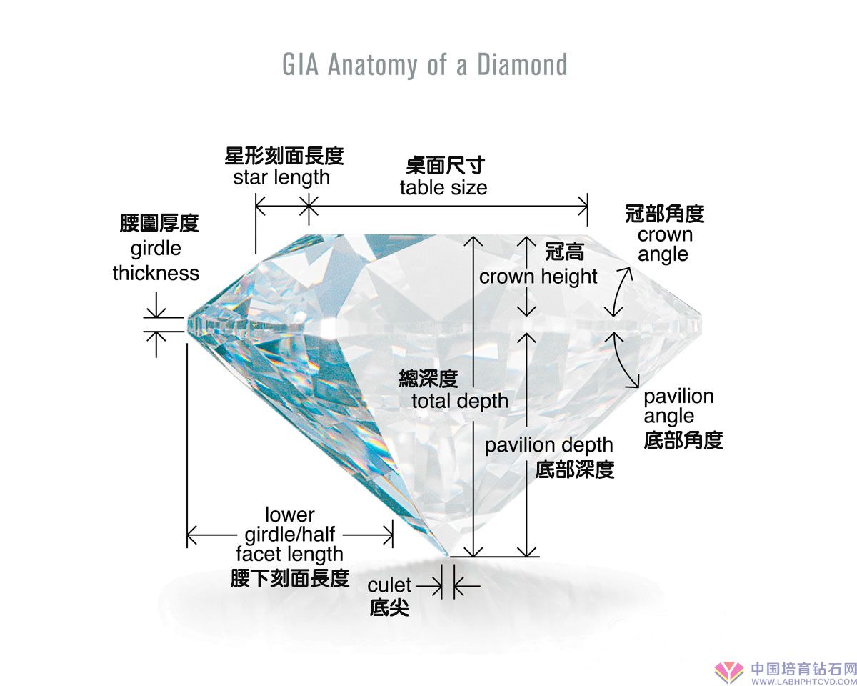 钻石切工图详解图片