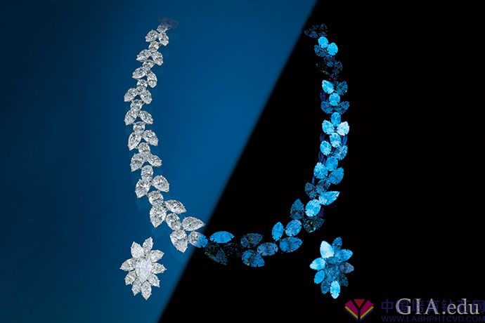 13到目前为止，蓝色是钻石在长波紫外线的照射下最常见的荧光颜色。